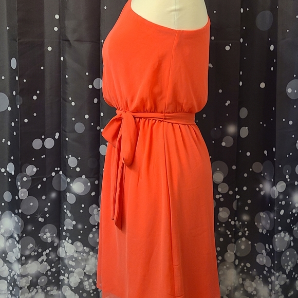 Express size SP coral dress - Picture 4 of 12